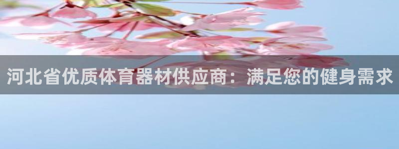 星欧娱乐平台都7O777：河北省优质体育器材供应商：